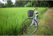 Cycling Tours To Village